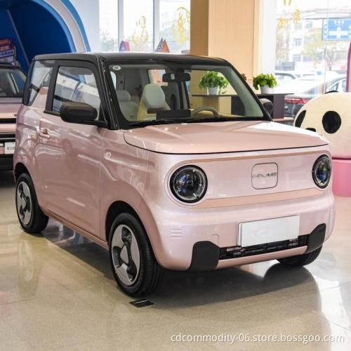 Cheap and High Quantity New Energy Vehicle Geely Panda Mini Car Cute New Electric Car for Sale